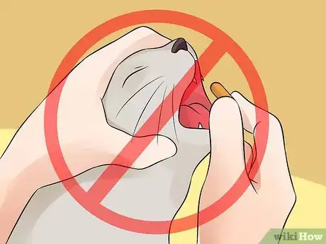 Imagen titulada Help Your Depressed Cat Step 21