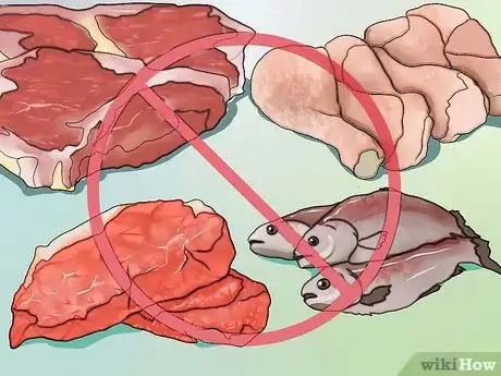 Imagen titulada Be a Lacto Ovo Vegetarian Step 1