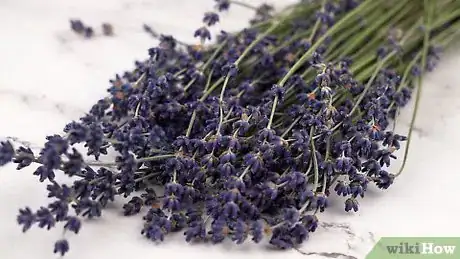 Imagen titulada Make Lavender Oil Step 2