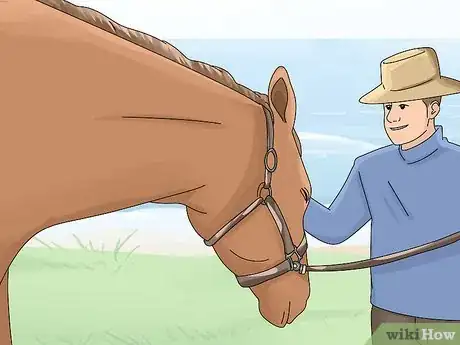 Imagen titulada Tell if a Horse Is Frightened Step 22