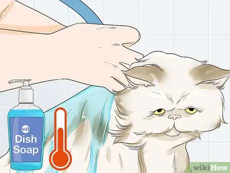 Imagen titulada Get Motor Oil Off a Cat Step 6