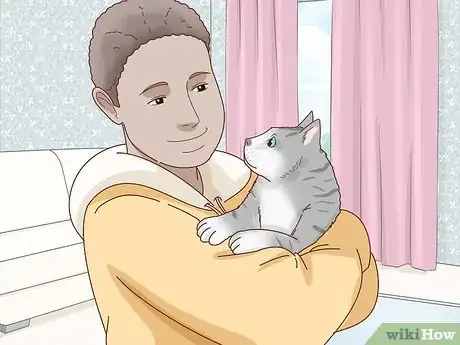 Imagen titulada Tell if Your Cat Is Depressed Step 10