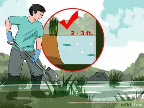 Imagen titulada Kill Lake Weeds Step 7