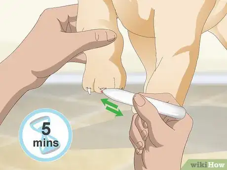 Imagen titulada Stop a Quick from Bleeding Step 14