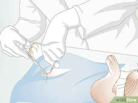 Imagen titulada Teach a Rabbit Not to Chew Furniture Step 16