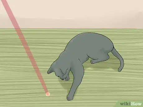Imagen titulada Identify a Korat Cat Step 10