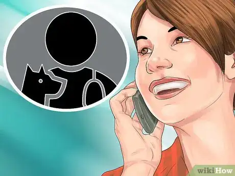 Imagen titulada Treat a Cat with a Broken Claw Step 7