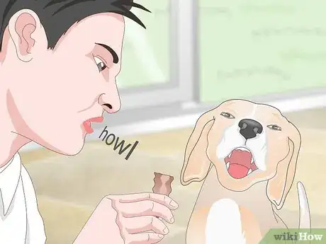 Imagen titulada Teach Your Dog to Howl Step 6