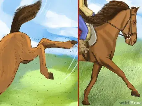 Imagen titulada Bond With Your Horse Using Natural Horsemanship Step 5