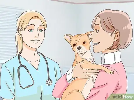 Imagen titulada Tell if a Dog Is Pregnant Step 9