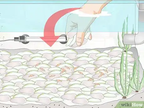 Imagen titulada Raise Goldfish Fry Step 6