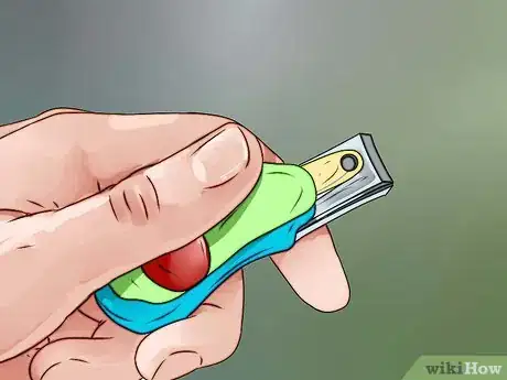 Imagen titulada Cut Guinea Pig Claws Step 11