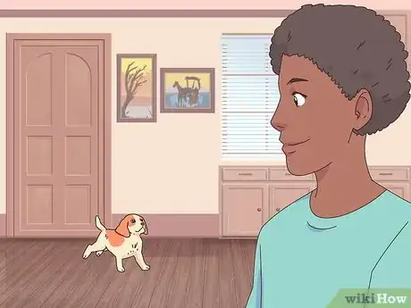 Imagen titulada Make a Cat and Dog Get Along Step 1