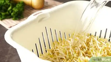 Imagen titulada Freeze Bean Sprouts Step 1