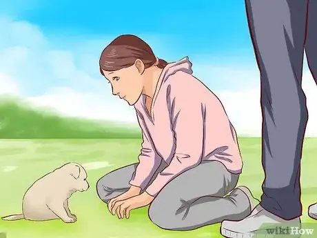 Imagen titulada Train a Puppy Not to Bite Step 4