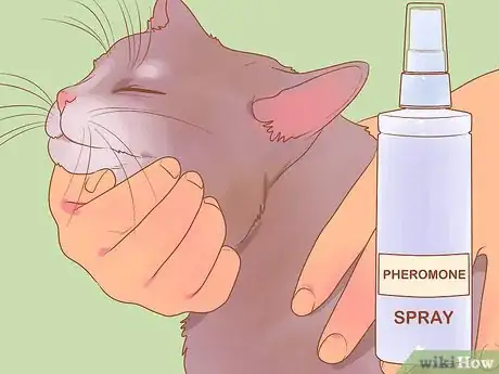 Imagen titulada Reduce Stress in Cats Step 22