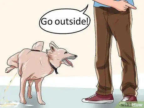 Imagen titulada Train a Dog to Pee Outside Step 11
