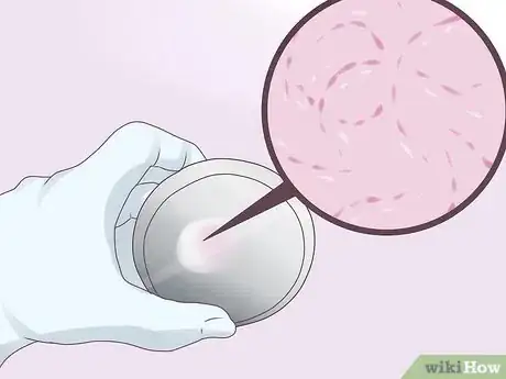 Imagen titulada Take a Throat Culture Step 8