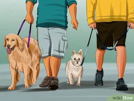 Imagen titulada Introduce a Puppy to a Dog Step 11