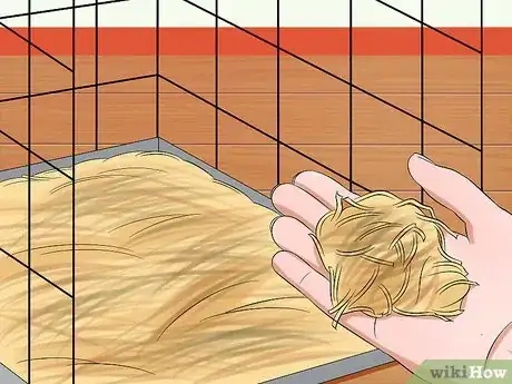 Imagen titulada Stop a Rabbit from Sneezing Step 3