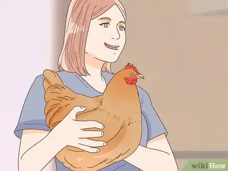Imagen titulada Tame a Chicken Step 10