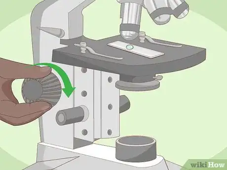 Imagen titulada Use a Microscope Step 14