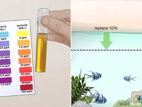 Imagen titulada Start a Saltwater Aquarium Step 40