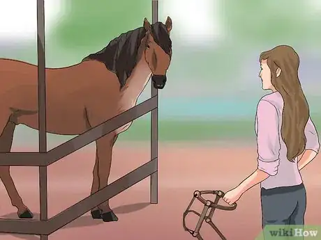 Imagen titulada Halter a Horse Step 3