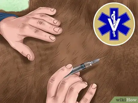 Imagen titulada Give a Horse an Injection Step 5