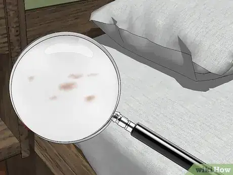 Imagen titulada Get Rid of Bed Bug Stains Step 4