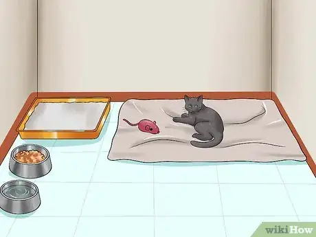 Imagen titulada Raise a Kitten Step 4