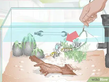 Imagen titulada Empty an Aquarium Step 13