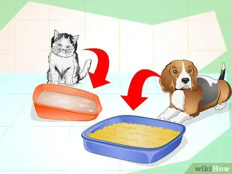 Imagen titulada Litter Train a Dog Step 5