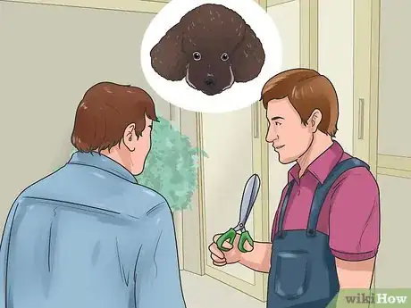 Imagen titulada Groom a Poodle Step 10