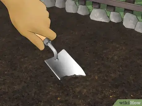 Imagen titulada Grow an Olive Tree from a Pit Step 12
