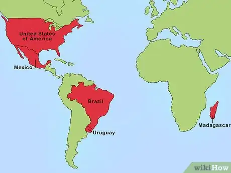 Imagen titulada Find Geodes Step 1