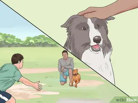Imagen titulada Train a Dog to Come Step 13