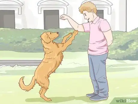 Imagen titulada Teach Your Dog to Jump Step 3