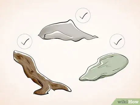 Imagen titulada Care for a Toad Step 3
