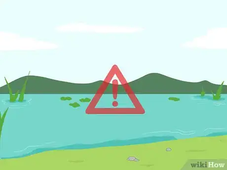 Imagen titulada Get Rid of No See Ums Step 10