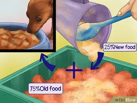 Imagen titulada Feed Picky Chihuahuas Step 3