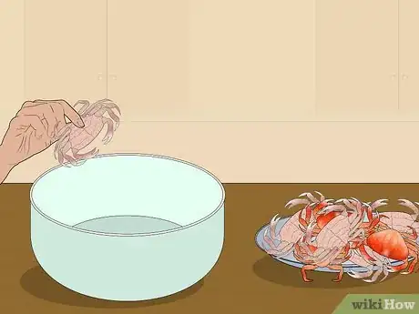 Imagen titulada Eat Dungeness Crab Step 1