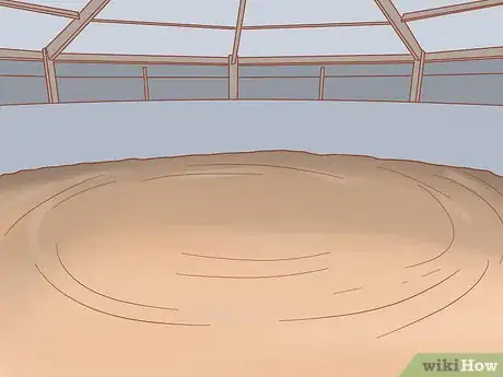Imagen titulada Join Up With a Horse Step 1