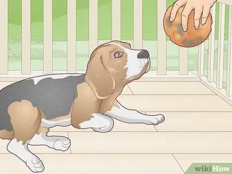 Imagen titulada Stop a Dog's Unwanted Behavior Step 6