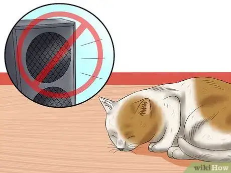 Imagen titulada Care for a Stray Kitten Step 16