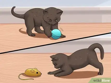 Imagen titulada Raise a Kitten Step 6