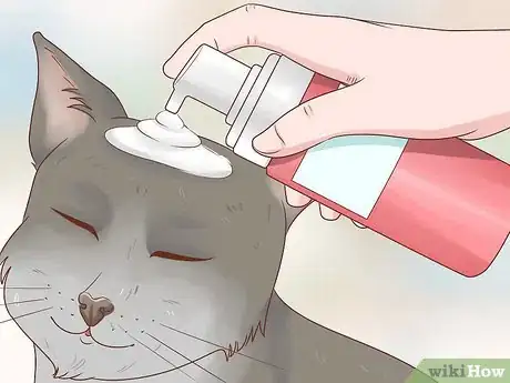Imagen titulada Bathe a Cat Without Water Step 9
