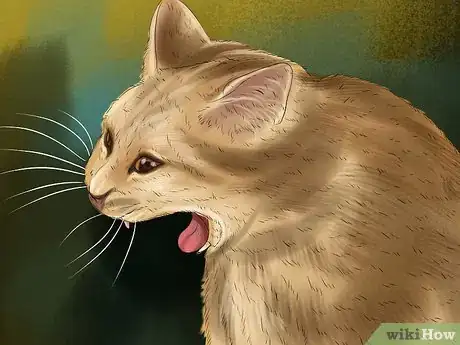 Imagen titulada Help a Cat That Swallowed String Step 5