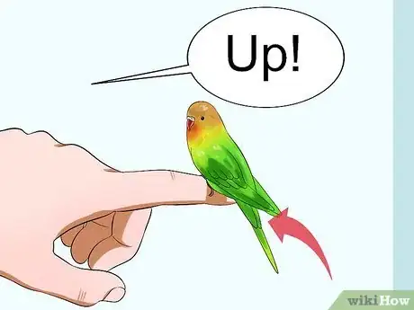 Imagen titulada Train Your Budgie Step 5