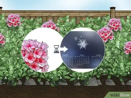 Imagen titulada Trim Shrubs Step 1